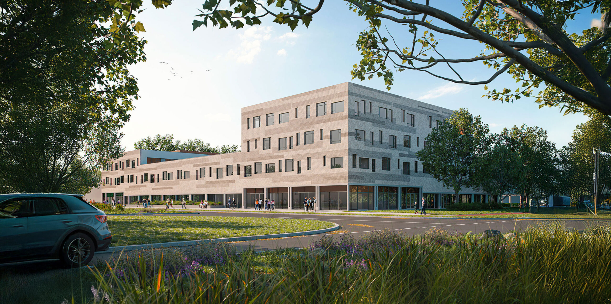 Avantis College